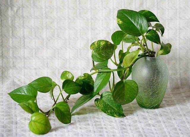 ��ȩ����3�����ϣ��ׂ�(g��)С���У�׌��7��ס�·���