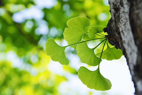 ��߀���o�Լ��������ȩ�᣿