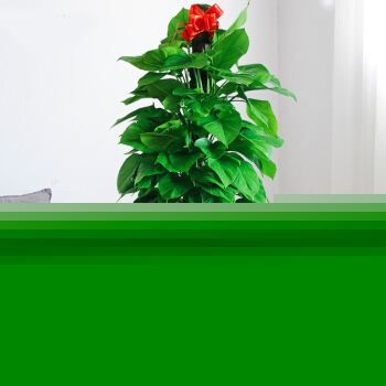 ����ȩ������{�ԣ��e�����@Щ���οƌW����