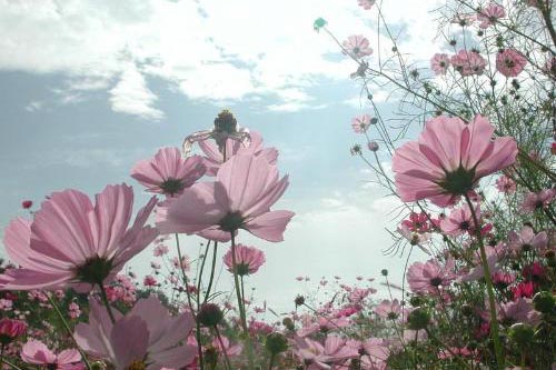 �·���γ���ȩ��2��(g��)С���и㶨