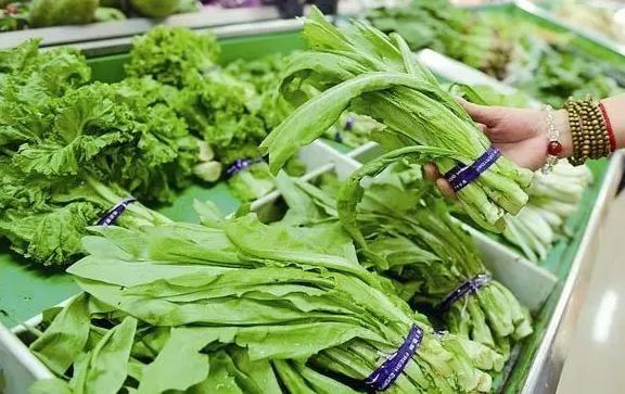 �߲���Ҳ���м�ȩ��߀��ʲô�ǿ��ԳԵ�