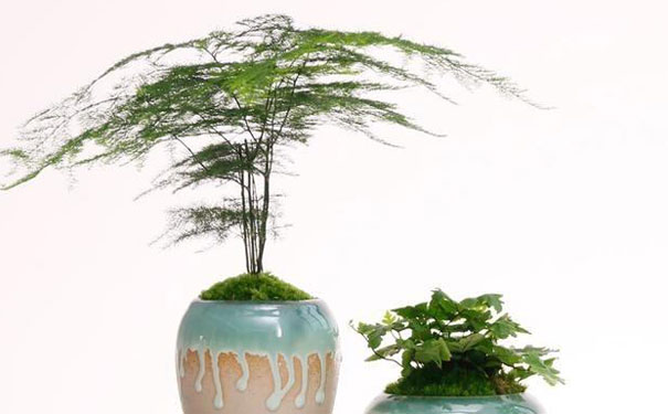 �·��b�ތ�����ȩ�����࣬�ķN��ʽ��ϸ�