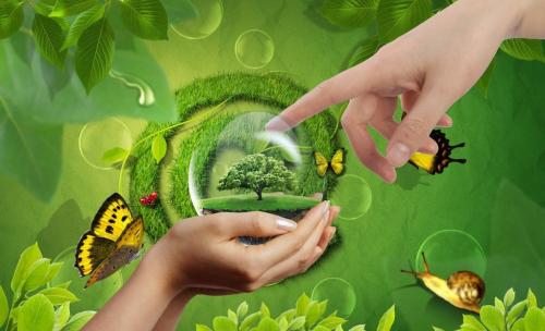 ������ȩ��������ÿһ��(g��)�˶����ܺ�ҕ