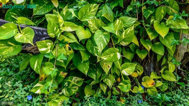 �G�}���܉�ȥ����ȩ����ô�՚������Ϳ����ˆ᣿