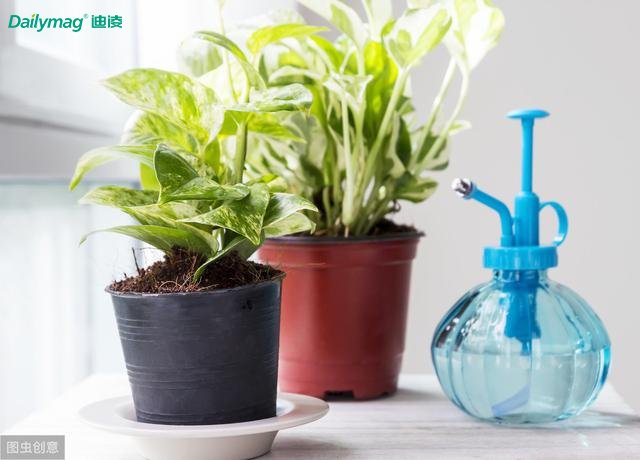 �G�}���܉�ȥ����ȩ����ô�՚������Ϳ����ˆ᣿