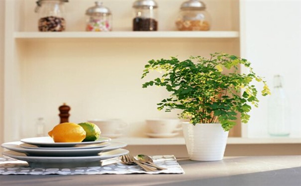 �b�޺����ȩ�Л]����,��ʲô���^��