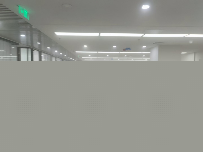 ����ȩ���T����