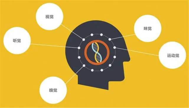 ��h����ȩ,��h��ȩ�z�y,��h��ȩ����,���Ӳ��������������u�r(ji��)�҃�(n��i)�՚�Ʒ�|(zh��)�Ġ�r