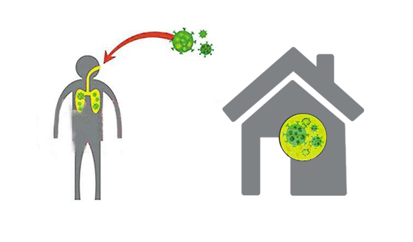 ��h����ȩ,��h��ȩ����,��h��ȩ�z�y,��Ⱦ���ֺ����w��;���������N