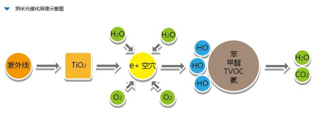 ���|ý����ȩԭ��