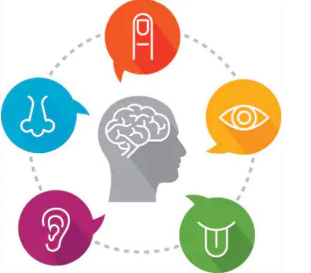 ��h����ȩ,��h��ȩ�z�y,��h��ȩ����,�b���Эh���O�y��ʲô����