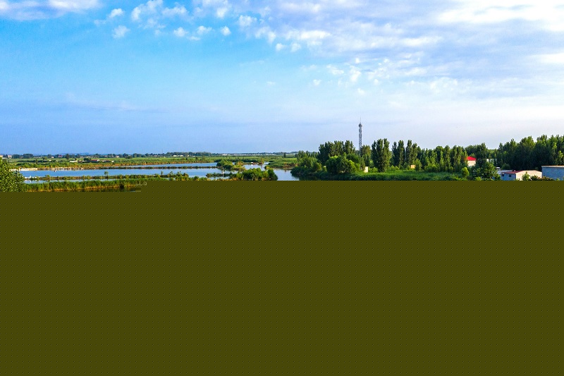 �۰��^���I����ȩ��˾��ȩ����C��