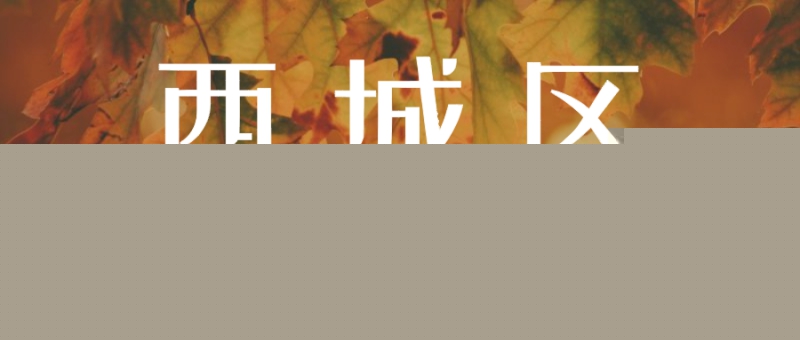 ���V�ĳ���ȩ��˾���ļ�