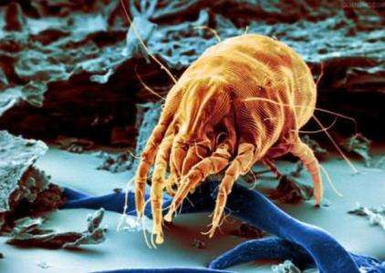 �҃ȿ՚���Ⱦ��΢������xΣ���������ԣ������������G�������h��