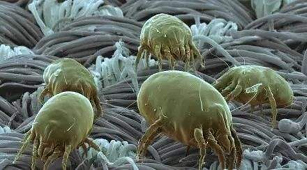 �҃ȿ՚��|�����^�������x���m���^�����G�������h��