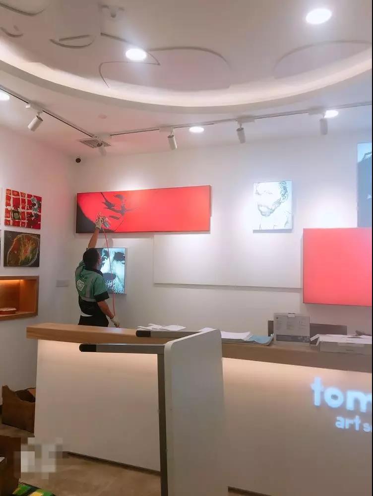 ����ȩ����