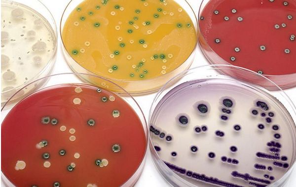 �҃ȿ՚���Ⱦ��΢���Σ���������ԣ������������G�������h��