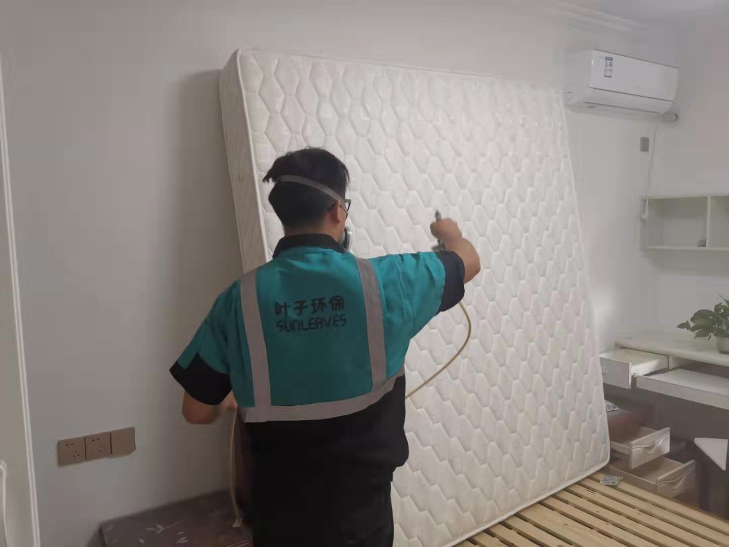 ����ȩ����