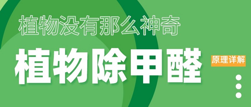 ֲ�����ȩԭ��