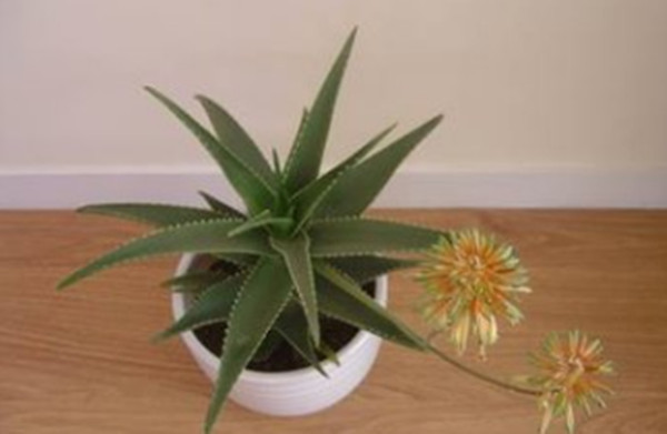 ֲ���o�����������¿՚����p��