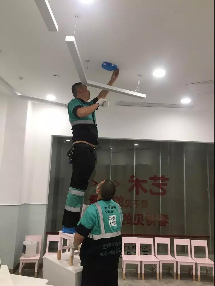 ����ȩ����