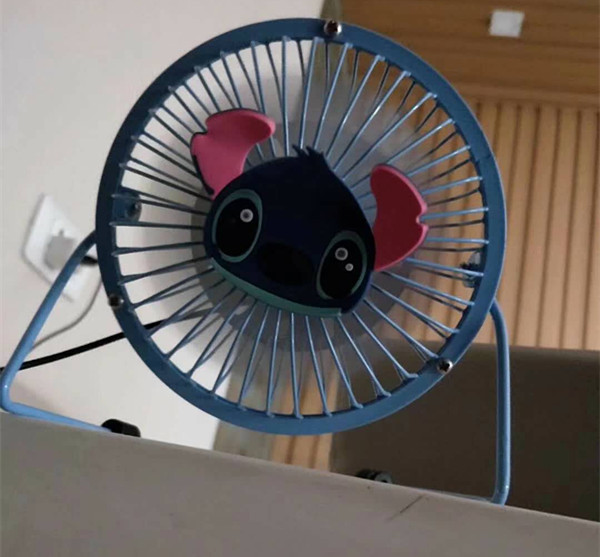 С�L�ȳ��ܲ��ɳ���֮����