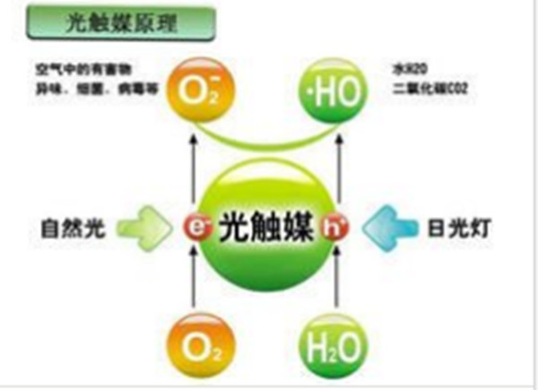 ���|ý����ȩ��ԭ�������|ý����ζԭ�������|ý����ԭ��