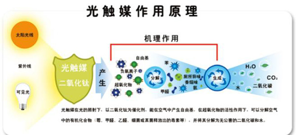 綠健君安環保去除甲醛,專業室內環境污染治理