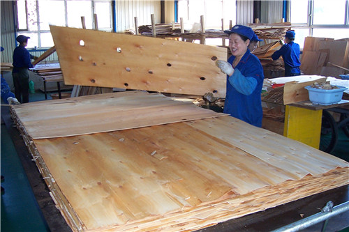 1548404538725329.jpg 甲醛超標(biāo)